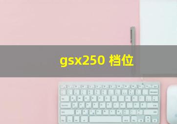 gsx250 档位